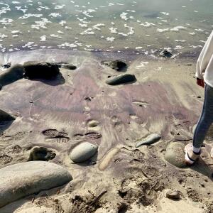 Bleeder的專輯Bleeder EP