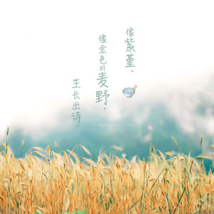 收聽飯碗的彼岸的蓮有秀兮歌詞歌曲