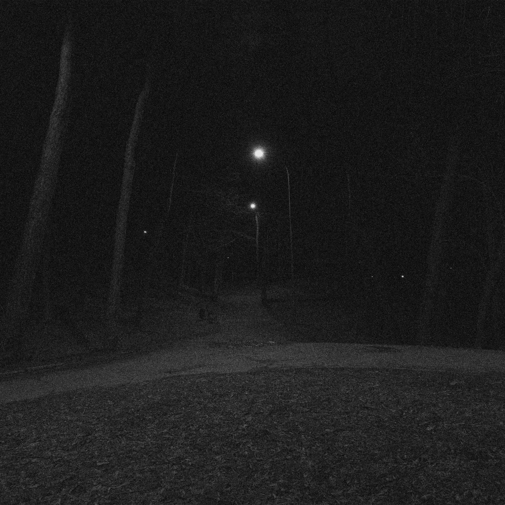 wandering