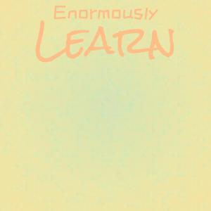 Various Artists的專輯Enormously Learn