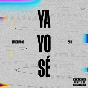 Zaid的专辑YA YO SÉ (feat. ZaiD) (Explicit)