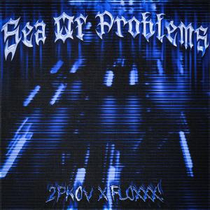 Album Sea Of Problems from 2pKov