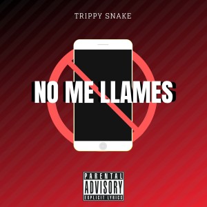 Listen to No Me Llames song with lyrics from Trippy Snake