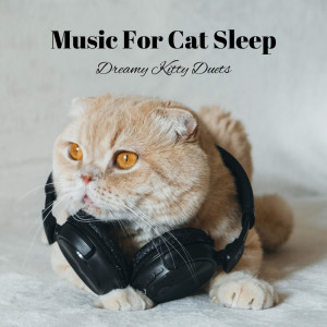 Sleepy Cat的专辑Music For Cat Sleep: Dreamy Kitty Duets