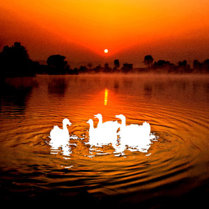 Listen to Sleeping Mode (Piano Lullaby) song with lyrics from Great Sleep Piano Lullaby