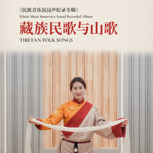 Listen to 阿若康巴 song with lyrics from 卓玛加