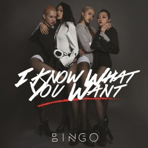 收聽BINGO的I KNOW WHAT YOU WANT歌詞歌曲