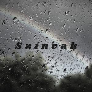 ดาวน์โหลดและฟังเพลง Színvak (feat. shyp) พร้อมเนื้อเพลงจาก Perge
