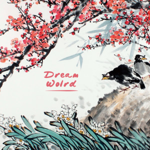อัลบัม Dreams ศิลปิน Dreamworld Musica Rilassante per Studiare