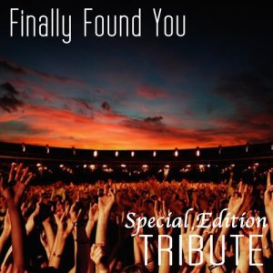 ดาวน์โหลดและฟังเพลง Finally Found You พร้อมเนื้อเพลงจาก The Dream Team