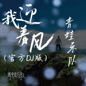 Listen to 我迎着风 （官方DJ版） (完整版) song with lyrics from 青蛙乐队