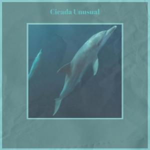 ดาวน์โหลดและฟังเพลง Bureau Lathe พร้อมเนื้อเพลงจาก Elung Breur