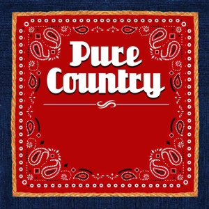 ดาวน์โหลดและฟังเพลง Friends in Low Places พร้อมเนื้อเพลงจาก Pure Country Hits