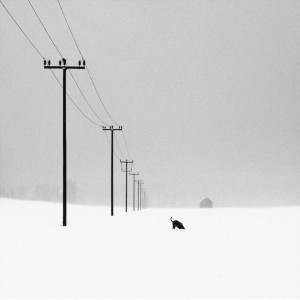 Listen to СНЕГ song with lyrics from ZHU