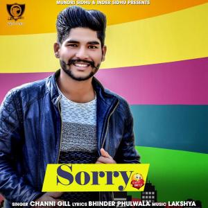 ดาวน์โหลดและฟังเพลง Sorry พร้อมเนื้อเพลงจาก Channi Gill