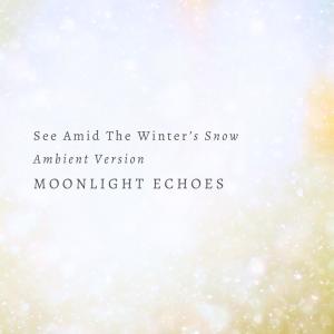 Moonlight Echoes的專輯See Amid The Winter's Snow (Ambient Version)