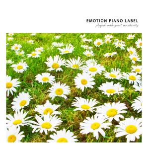 Album Piano Collection for Worker's Fatigue from Various Artists