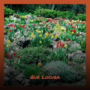 Album Que Locura from Yoshiki(X-Japan)