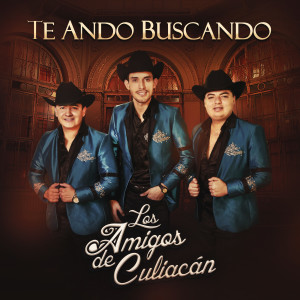 Los Amigos De Culiacàn的專輯Te Ando Buscando