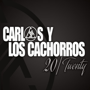 Listen to One More Light song with lyrics from Carlos y Los Cachorros