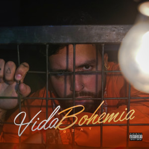 Album Vida Bohemia (Explicit) from Dzay
