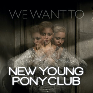 New Young Pony Club的專輯We Want To