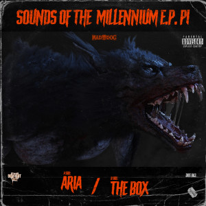 DJ Mad Dog的专辑Sounds Of The Millennium P.1 (Explicit)
