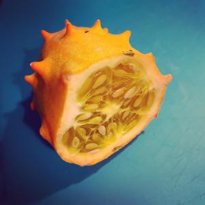 ดาวน์โหลดและฟังเพลง We Drank The Sun พร้อมเนื้อเพลงจาก Derek Brown