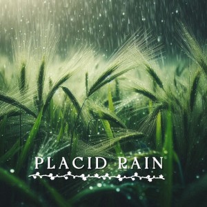 Raol Marquis的專輯Placid Rain