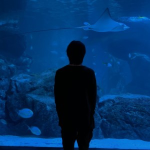 Listen to ขอให้เธอรักเขา song with lyrics from Flukie