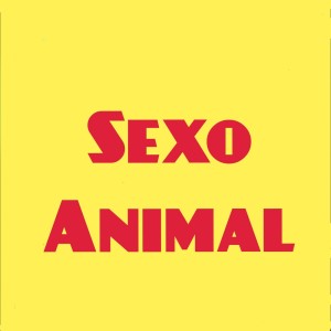 Dengarkan lagu Sexo Animal (Explicit) nyanyian dj thebest dengan lirik