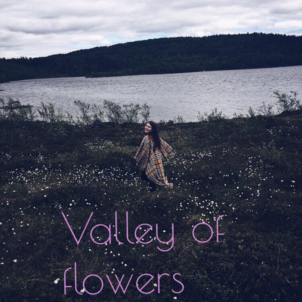 Valley of Flowers