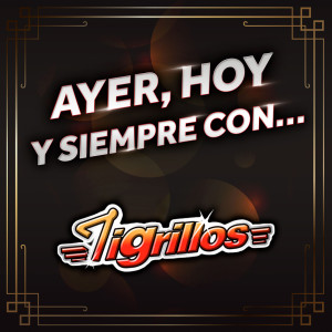 Tigrillos的專輯Ayer, Hoy Y Siempre Con... Tigrillos