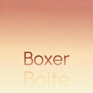 Album Boxer Boite from Various