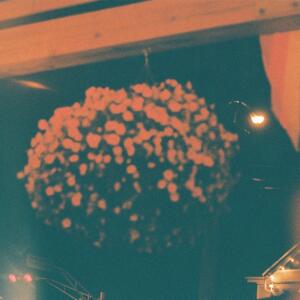 收聽Meorkat的DOBERMAN GANG歌詞歌曲