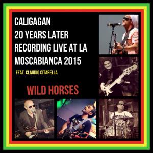 ดาวน์โหลดและฟังเพลง Wild Horses (20 Years Later Recorded Live at La Mosca Bianca 2015) พร้อมเนื้อเพลงจาก Caligagan