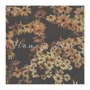 ดาวน์โหลดและฟังเพลง Honey Bee พร้อมเนื้อเพลงจาก Diana Roze