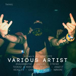 Various Artists的專輯TWVA01