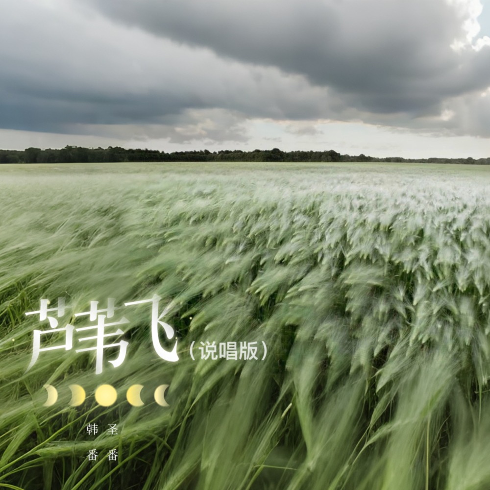 芦苇飞 (说唱版)