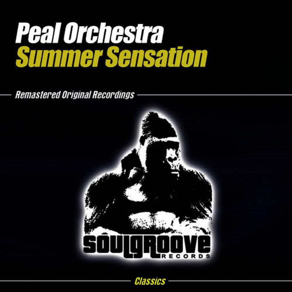 Summer Sensation(Stylish Mix)