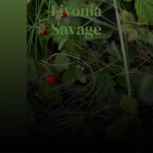 Listen to Doyen Kettle song with lyrics from Deden Caste