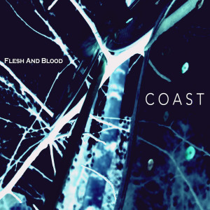 Album Flesh and Blood from Coast