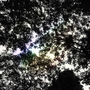 收听Atlas In Motion的skyline歌词歌曲
