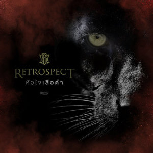 อัลบัม หัวใจเสือดำ - Single ศิลปิน Retrospect