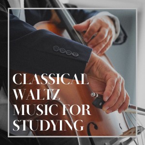 Album Classical Waltz Music for Studying oleh Various Artists