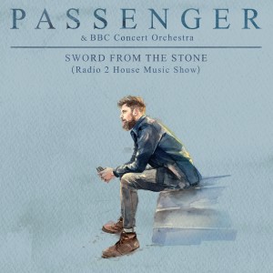Passenger的專輯Sword from the Stone (Radio 2 House Music Show)