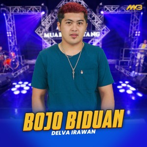 Dengarkan Bojo Biduan lagu dari Delva Irawan dengan lirik
