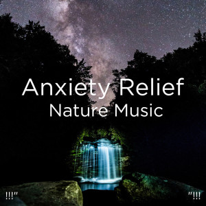 Dengarkan lagu Insect Sounds With Music nyanyian Deep Sleep dengan lirik