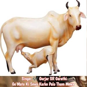 Gurjar SR Garathi的專輯Go Mata Ki Sewa Karke Palo Tham Mewa