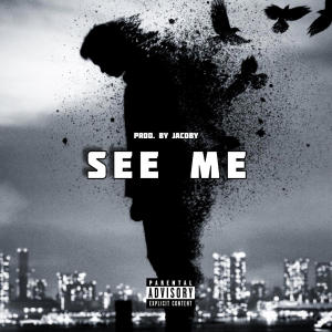 Saleem的專輯See Me (Explicit)